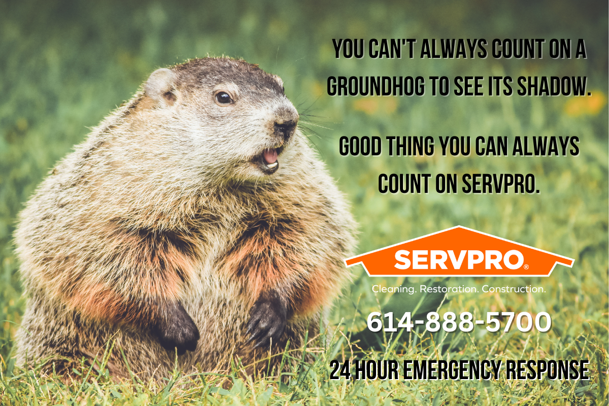 ServPro Happy Groundhog Day